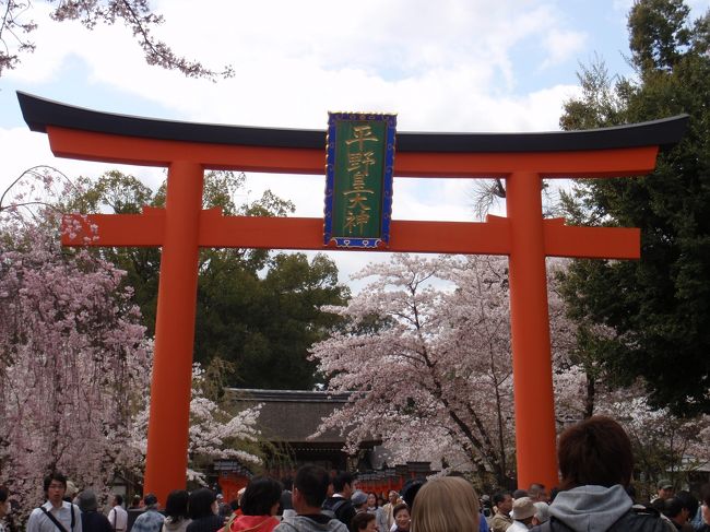 たくさんの桜に囲まれた平野神社<br /><br />紋がかわいい。