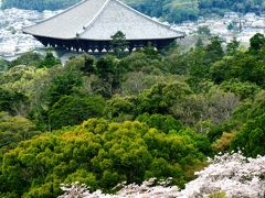 奈良-7　新芽吹く若草山からの眺望　☆万葉七草釜飯の昼食後に