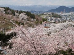 花盛りの桃源郷へ再び～福島市・花見山～