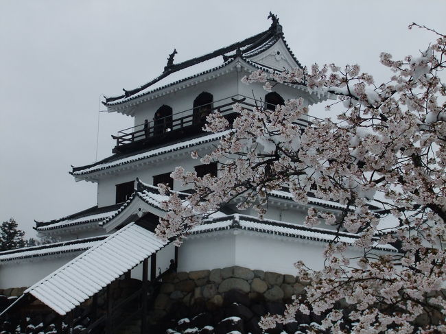 珍しく4月中旬に降雪となった東日本。<br />その雪と満開の桜の組み合わせがまた珍しく、<br />素晴らしい光景を織り成してました。