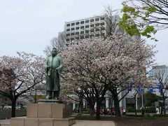 神田橋・竹橋辺りで遅咲きの桜