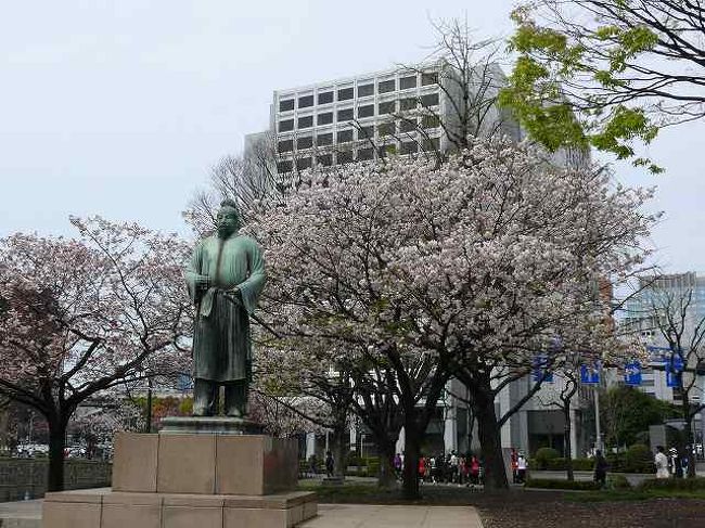 冬桜を探してるときに神田橋の横で佐野菊桜の木を見つけていた<br />時期になったら見に来ようと思っていたのでまだ早いかなと思いながらもよってみると　綺麗に咲き誇っていました<br /><br />ここ１ヶ月ぐらいの間にずいぶんカンもよくなってあまりはずさないようになった<br /><br />その帰りに大手町駅に歩いていたら今度は竹橋の駅の近くに咲き誇ってる桜を発見<br />これは行って見なければと寄り道でした<br />４種類ほどの桜発見です<br /><br />運のいいときというのはこんな感じで簡単に見れる<br />