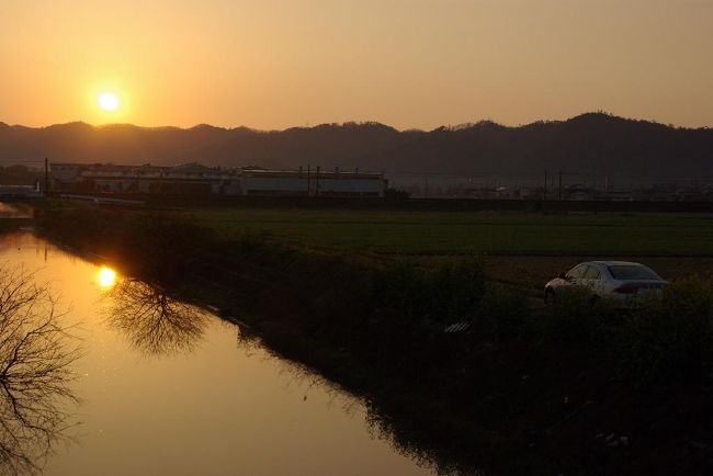久しぶりに晴れた週末の朝。伊吹山系から昇る朝日を長浜市内から楽しみました。午前6時前、長浜ドーム近くの土川沿いで撮影しました。。。