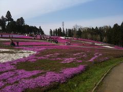 芝桜の丘