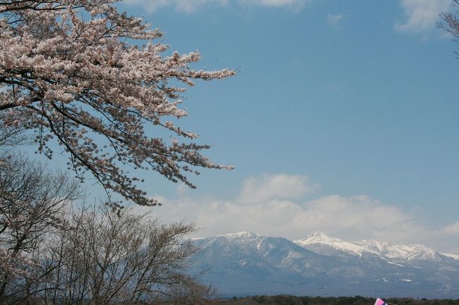 前々日に季節外れの雪が降りましたが、那須にもやっと春が来たと感じた一日でした。