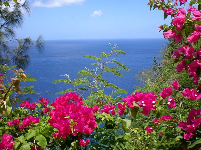 グアムへの女一人旅です。<br /><br />青い空と海と白い雲と砂、そしてきれいなお花に癒されたいと思い立ち、グアムへ行ってみることにしました。<br />初めてこの目で見たきれいなさんご礁の海とかわいいイルカ達、<br />同じく1人旅の方と現地で合流して食べた晩御飯、<br />現地のスーパーでのお買い物、<br />どれもこれも新鮮で楽しくて、とてもよいリフレッシュになりました。<br /><br />