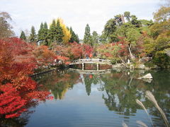 ２００８　京都で紅葉狩り