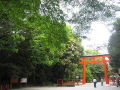 ２００９ 新緑の京都