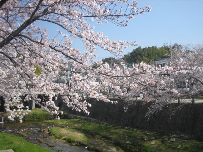 兵庫県芦屋市にある芦屋川沿いの桜です。<br /><br />近くの夙川よりも空いていて、お花見をするなら穴場かもしれません。<br />芦屋川も川のせせらぎと桜のコラボレーションが美しいです☆<br />