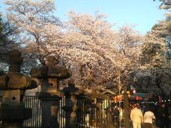 08年4月　お花見＠上野公園＆神楽坂