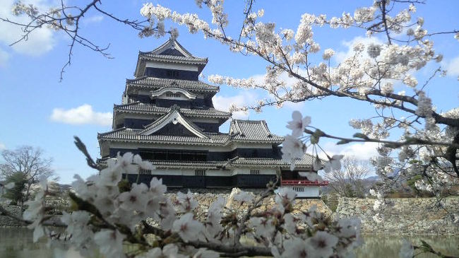 鹿児島では既に桜は散り、つつじも満開が過ぎようとしてますが、松本は桜が満開でした。東京から長野に向かう車窓からは軽井沢では雪、長野も昨日降った雪が残っていました。雪景色も綺麗ですが、それよりも桜の美しさに見とれながら松本に着きました。<br />ホテルにチェックインし、急いで国宝松本城へ。<br />そこには期待通り桜が松本城を包んでいました。<br />松本は蕎麦も美味しいところですが、馬肉料理でも有名です。<br />日本酒も美味しい。<br />そして桜。<br />この風情を楽しめる日本に生まれて良かった