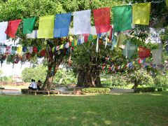 ルンビニ・ネパール一人旅