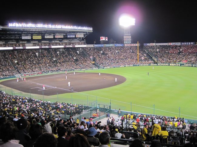 毎年５試合程、甲子園に阪神タイガースの試合を見に行ってます。今年は２回目。全勝めざして頑張って応援します。<br />