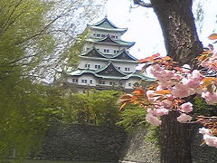 花いっぱいの名城公園