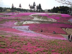 羊山公園の芝桜の丘を楽しむ