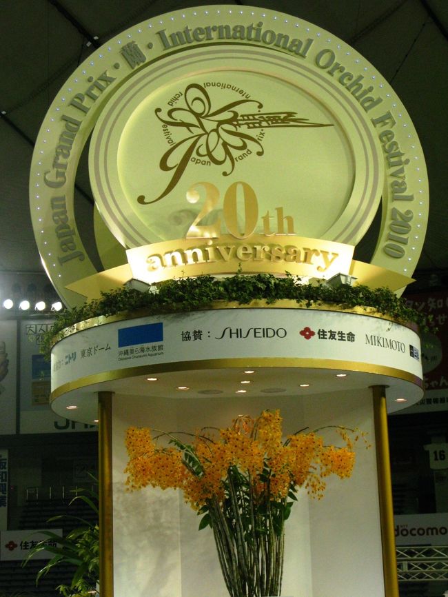 世界らん展日本大賞（Japan Grand Prix・蘭・International Orchid Festival　略称：JGP　以下 世界らん展）は、日本における大規模国際蘭展の代表的存在。<br /><br />第1回が1991年に開催されて以来、毎年1回、2月中旬から下旬の8〜9日間、東京都文京区の東京ドームで開催される。<br />展示には洋蘭、東洋蘭（シュンラン、カンラン等）、日本の蘭（エビネ、セッコク等）など、様々なラン科植物が世界20〜25ヶ国から約3000種10万株集まる。（フリー百科事典『ウィキペディア（Wikipedia）』より引用）<br /><br />世界らん展日本大賞については・・<br />http://www.jgpweb.com/<br /><br />作品名：デンドロビューム フィンブリアタム， オクラタム ‘ロング ウェル’<br />講　評：インド、タイ、中国南部に幅広く分布する着生蘭です。今回大賞を受賞した個体は、株の高さが約１２５cm、８０を超える花房に、２０００輪近い花をバランス良く咲かせ、栽培賞も受賞した大作です。濃黄色の花弁に、黒褐色の唇弁のアクセントが美しく花形、花の大きさも優れた個体です。<br /><br />