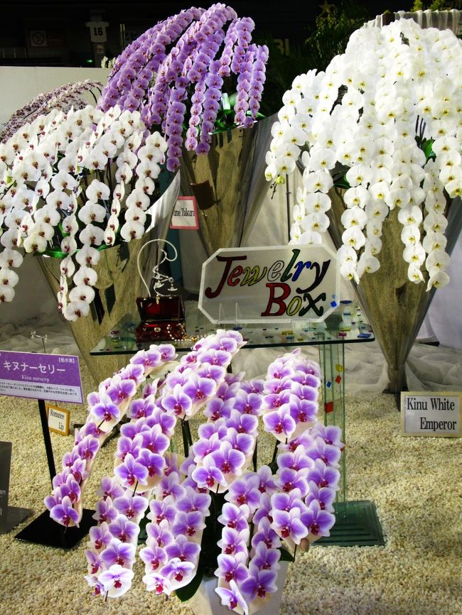 世界らん展日本大賞（Japan Grand Prix・蘭・International Orchid Festival　略称：JGP　以下 世界らん展）は、日本における大規模国際蘭展の代表的存在。<br /><br />第1回が1991年に開催されて以来、毎年1回、2月中旬から下旬の8〜9日間、東京都文京区の東京ドームで開催される。<br />展示には洋蘭、東洋蘭（シュンラン、カンラン等）、日本の蘭（エビネ、セッコク等）など、様々なラン科植物が世界20〜25ヶ国から約3000種10万株集まる。（フリー百科事典『ウィキペディア（Wikipedia）』より引用）<br /><br />世界らん展日本大賞については・・<br />http://www.jgpweb.com/<br />