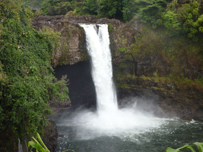 3日目は、旅行会社のオプショナルツアーでハワイ島一日観光に出発。天候不順に泣かされましたが、大自然を堪能しました。