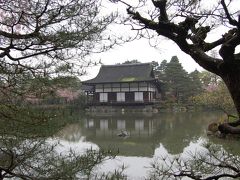 京都　さくら紀行　（３日目）　京都国立博物館、平安神宮、西本願寺