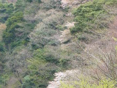 ほっこり熊本【07】いろいろな酒に恵まれて