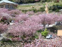 一心寺の桜