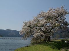 一番遅れてやってきた湖北の春を楽しむ