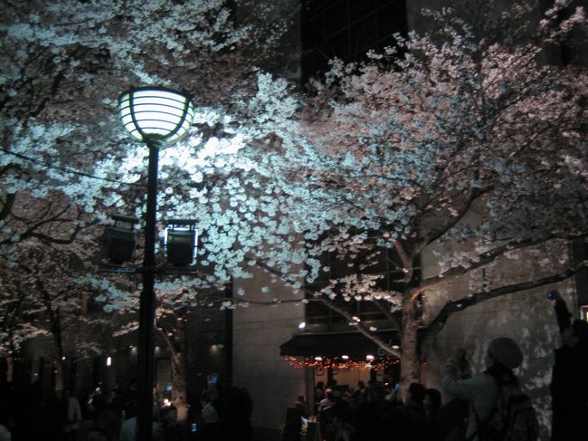 友人二人と年に一度の旅行です。<br />今年は、桜満開の京都と姫路城です。<br />私的には京都は３回目、姫路城は２回目ですが<br />友人たちに京都と姫路城のDVDを見せたら<br />是非行きたい！と要望が出て案内してきました。