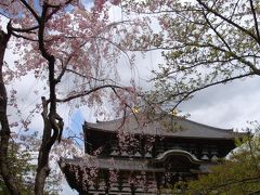 【おとなの修学旅行】奈良の旅：その２～春風薫る奈良歴史散策～