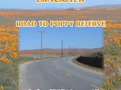 Road to Poppy Reserve   パピーリザーブ　への道