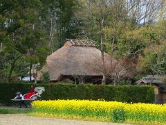 春爛漫の嵐山・嵯峨野散策！（その2）