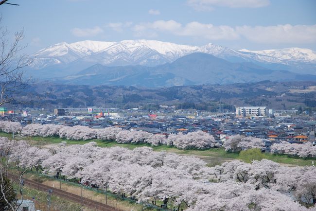 農作業の合間、今日はとても良い天気なので<br />近くの公園に桜を見に行ってきました。<br /><br />散り始めなのですが、いちばん綺麗な時期かも。<br /><br />残雪の蔵王に桜が映えました。