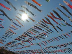 神流　鯉のぼり祭り