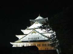 思い立って大阪城