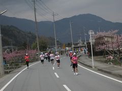 南アルプス桃源郷マラソン大会 桃の里を走る