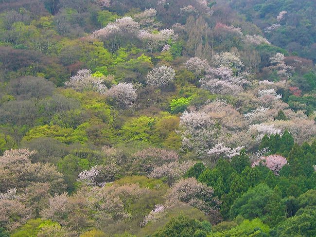 ４月ももう残り１週間をきり、ベルト地帯を中心に遅咲きの桜前線もまもなく過ぎ去ろうとしている中、標高の高い山や地方によってはこれから桜の時期を迎える場所もありますが、今月に入ってからの寒さの影響で、開花が少し遅れているようです。<br /><br />旅行記作成もなかなか前進出来ないでいますので、ここで横着をさせてもらい、これまでの一部と残りの写真と言ってもわずかですが、こちらでひとまとめにし紹介させて頂きます。