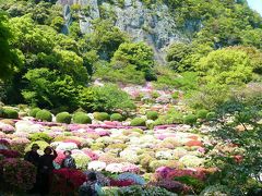 田舎のレストランとツツジ祭り&#9836;♪&#9835;