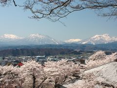 春遅い「北信濃」の花見！！