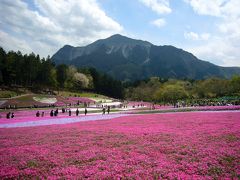 都内から日帰りドライブ　～秩父・羊山公園～