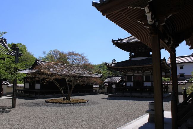 堺市南区鉢ヶ峰にある法道寺を訪れました。<br />白鳳時代、天智天皇9年(670年)に法道(空鉢)仙人が創建したとされる古刹です。<br />鎌倉後期の食堂、南北朝中期の多宝塔は十六羅漢像とともに重要文化財です。
