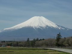 箱根仙石原温泉、富士山と芝桜