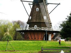 アンデルセン公園-20　スイセン各種色々咲いて　☆温暖な土曜日に