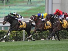 シャティン競馬場（香港：沙田競馬場）