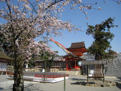 2010年京都・奈良桜巡り（石清水八幡宮）