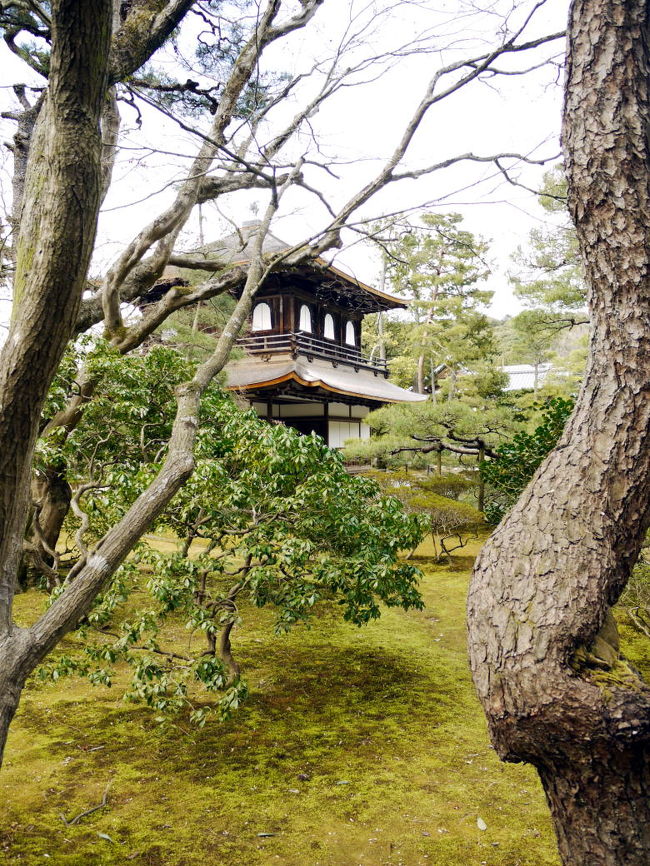 下鴨神社から世界遺産 慈照寺(じしょうじ・銀閣寺)までは意外と近く、桜が未だで渋滞もなく10分かからず到着です。<br /><br />しかし、午後になって天気が回復して暖かくなり、人出が多くなって来ました。<br />