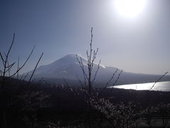 石割の湯とﾊﾟﾉﾗﾏ台からの富士山