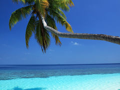 おひさのモルディブ。ダール環礁、ヴィルリーフに宿泊　/Maldives　Dhaalu Atoll　Vilu Reef Beach & Spa Resort