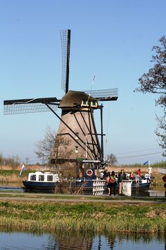 2010春、ドイツ・オランダ・ベルギーの旅(22/68)：4月17日(10)：キンデルダイク・風車群、水鳥、陸の鳥