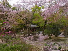 京都乙女？１人旅★天龍寺・曹源池庭園＆百花苑