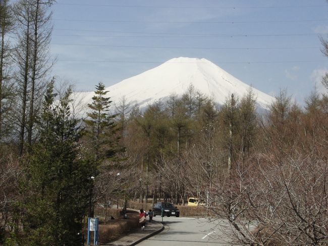 伝説のＪＳＤＧフジケン会場<br /><br />今回は家族でゆっくりと・・・<br /><br />ここは、富士山がきれいに見えること、食事かいいこと、<br />部屋が大きいこと（４人ベットが基本)<br /><br />法人会員なら１万円チョットで豪華な人時が過ごせる。<br /><br />http://www.laforet.co.jp/lfhotels/yam/index.html<br /><br />ホテルの専用バスのバス亭や各階のエレベータホールの窓<br />から雄大な富士山が見られる。<br /><br />表紙は２階のエレベータホールの窓からの写真