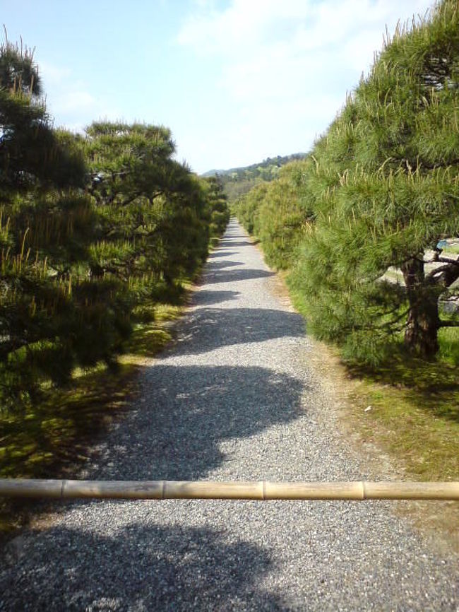 京都で住んでいますが、観光スポットから少し外れた処にもいいところあります。<br /><br />写真を見つけたら少しずつアップしていきます。<br />